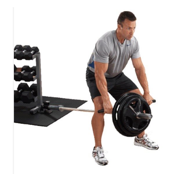 תושבת למוט אולימפי 100057 BODY SOLID