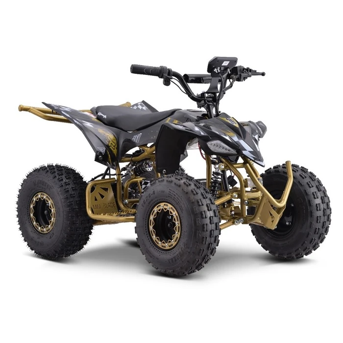 טרקטורון ממונע לילדים 250748 בעוצמה 36V ריידר פרומקס