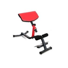 ספת זוקפי גב 80731 מקצועית מבית CITYSPORT