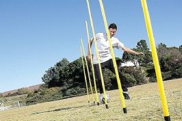 מוטות סימון - AGILITY POLES2