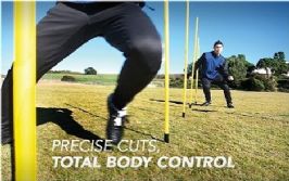 מוטות סימון - AGILITY POLES3