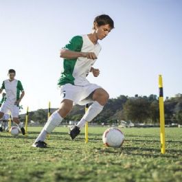מוטות סימון פרו - PRO TRAINING AGILITY POLES2