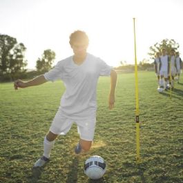 מוטות סימון פרו - PRO TRAINING AGILITY POLES3