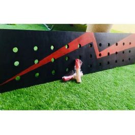 81cf6655-bb7c-4609-80e0-6cdad71a6d85