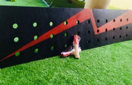 81cf6655-bb7c-4609-80e0-6cdad71a6d85