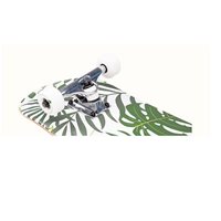 סקייטבורד קומפלט Alameda Malibu palm מבית Retrospec קליפורניה