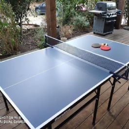 טניס שולחן חוץ OUTDOOR BIG FUN 609955 מבית Bandito Sport גרמניה