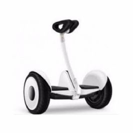 הוברבורד חשמלי 10"עם מוט ישיבה LG S6 מבית CITYSPORT