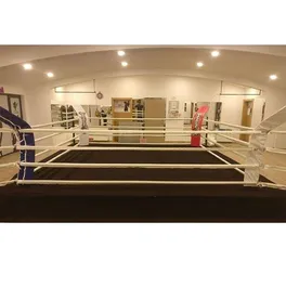 זירת אגרוף מקצועית 242408 מבית DRAGON