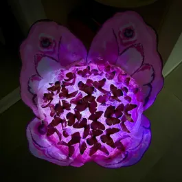 זר פרפרים עם אורות לד 242416 עבודת יד מבית CITYSPORT