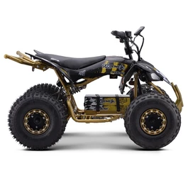 טרקטורון ממונע לילדים 250748 בעוצמה 36V ריידר פרומקס