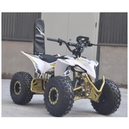 טרקטורון ממונע מקצועי לילדים 250867 בעוצמה 36V מוגבה באיכות גבוהה