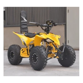 טרקטורון ממונע מקצועי לילדים 250867 בעוצמה 36V מוגבה באיכות גבוהה