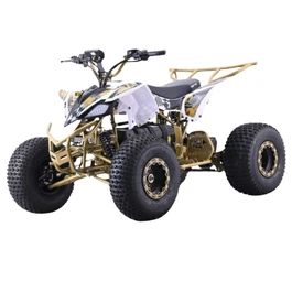 טרקטורון ממונע מקצועי לילדים 250869 בעוצמה 60V דגם Extreme Rider Blade X Pro