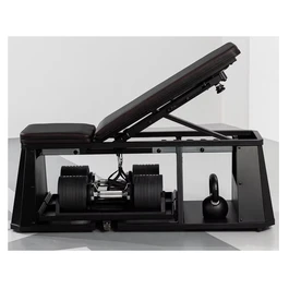 ספת כושר 4 ב- 1 משולבת פולי 251049 מבית SNODE (מקורי)