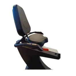 אופני כושר מקצועיות עם משענת 261455 דגם YZ מבית SPORTIME