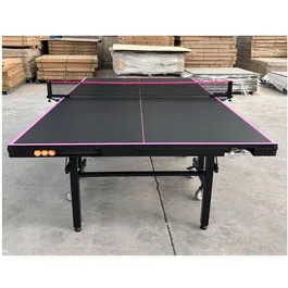 שולחן טניס פנים מקצועי למועדונים 242780 פלטה 25 מ"מ גלגלים 100 מ"מ מבית CITYSPORT
