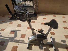 אופני כושר מגנטיות magnetic pro מבית CITYSPORT