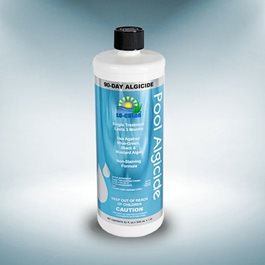 אלגיציד 90 יום 389179 1 ליטר 90Day Algicide מבית LO CHLOR ארה"ב