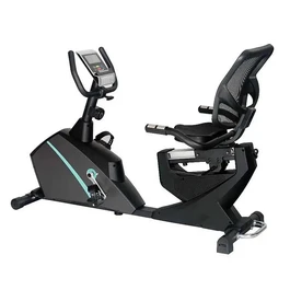 אופני כושר עם משענת 250946 מבית CITYSPORT